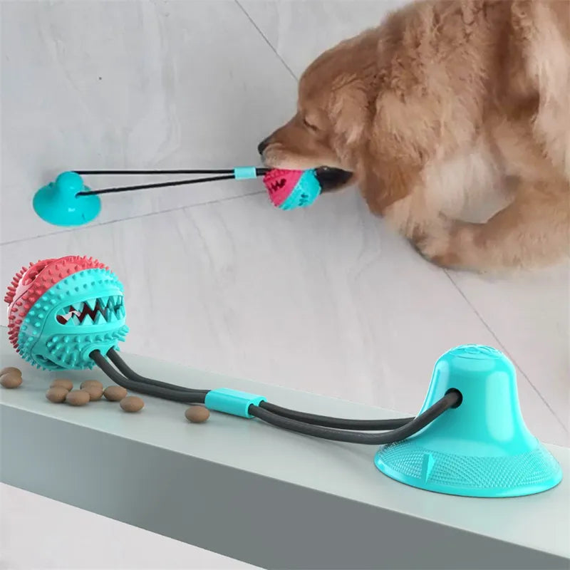 Golden retriever pulling a teal and pink treat-ball suction tug toy on tile