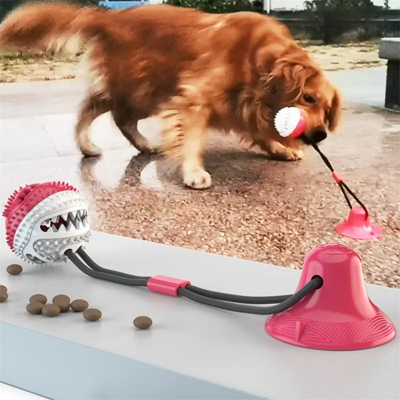 Golden retriever playing with a pink treat-ball suction tug toy
