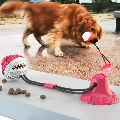 Golden retriever playing with a pink treat-ball suction tug toy