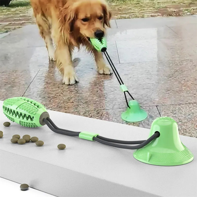 Golden retriever playing with a green treat-ball suction tug toy