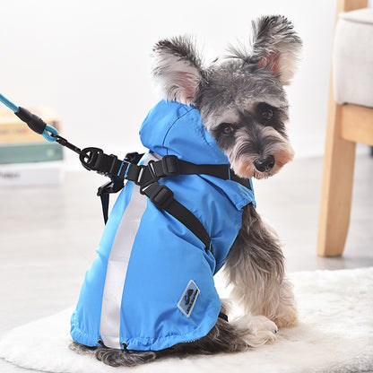 Small dog wearing a blue waterproof raincoat with built-in harness